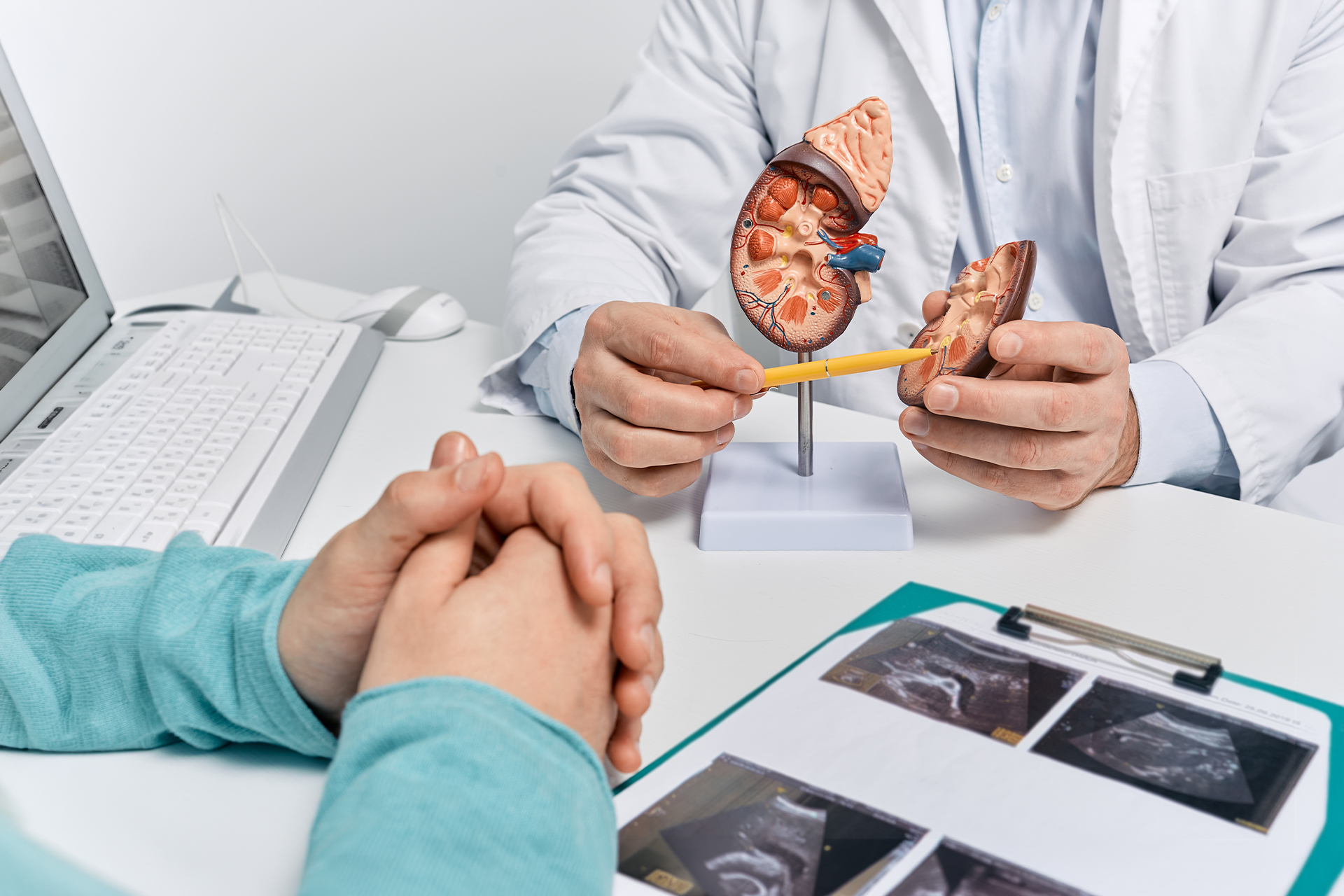 Kapan Sebaiknya Anda Menemui Dokter Terkait Keluhan Batu Ginjal?