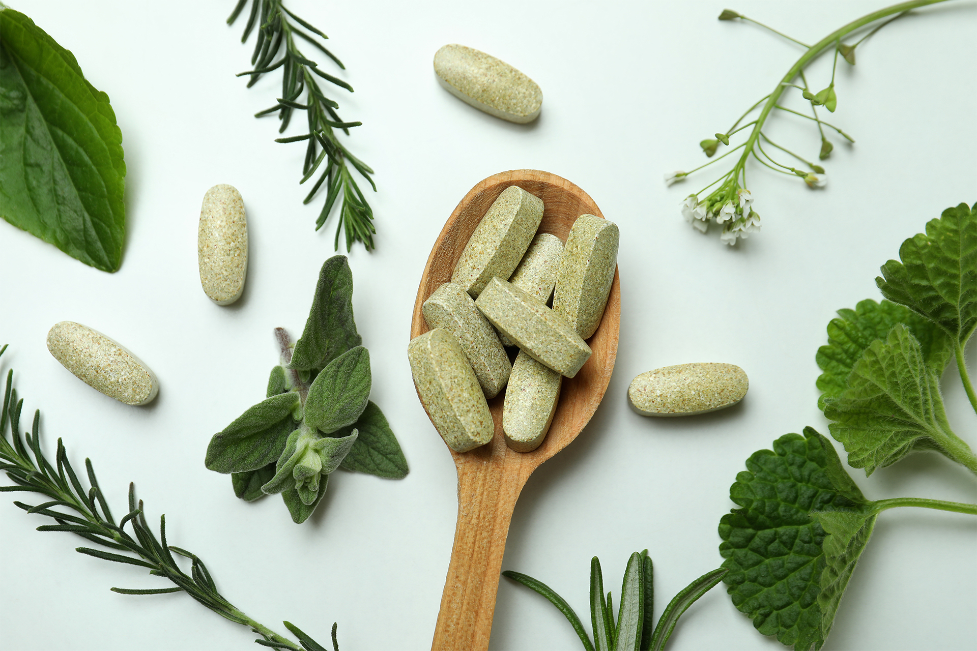 Panduan Memilih Herbal yang Aman untuk Ginjal